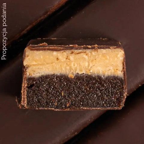 FIZI Guilty Pleasure Hazelnut & Himalayan Salt - wegański baton proteinowy w polewie czekoladowej bez dodatku cukru by Fizi (fizi-guilty-pleasure-hazelnut-himalayan-salt-weganski-baton-proteinowy-w-polewie-czekoladowej-bez-dodatku-cukru)