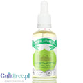 Funky Flavors Basic Matcha 30ml - aromat spożywczy zielonej herbaty bez cukru i bez tłuszczu by Funky Flavors (funky-flavors-matcha-30ml-aromat-spozywczy-zielonej-herbaty-bez-cukru-i-bez-tluszczu)
